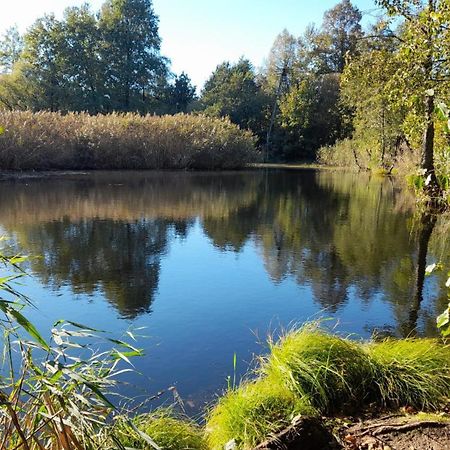 Osada Pod Lasem Andrychów Buitenkant foto