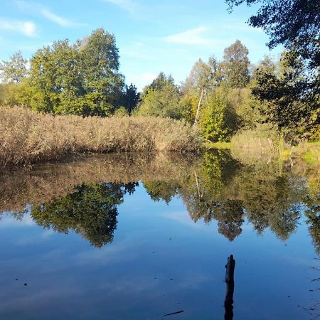 Osada Pod Lasem Andrychów Buitenkant foto