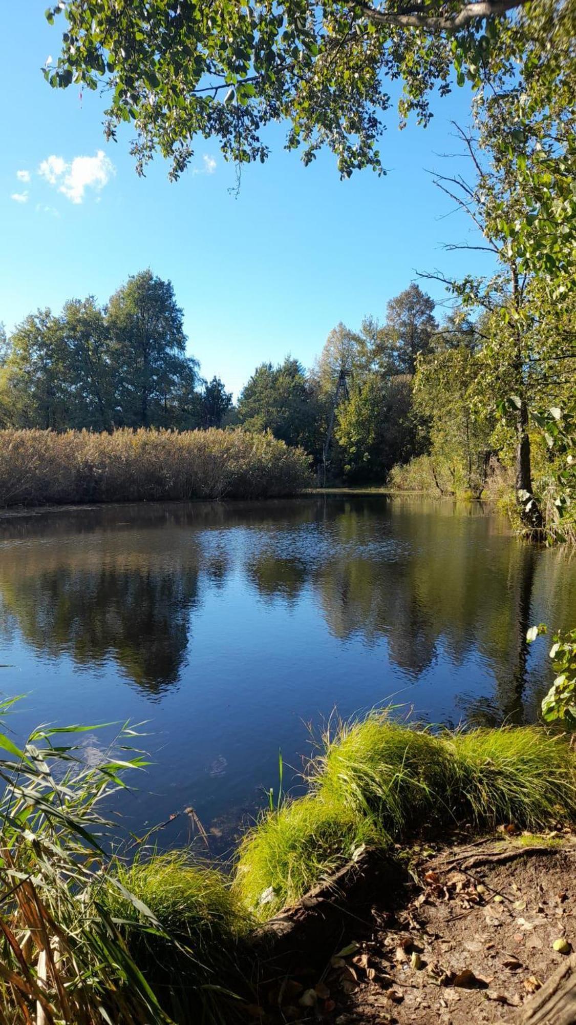 Osada Pod Lasem Andrychów Buitenkant foto