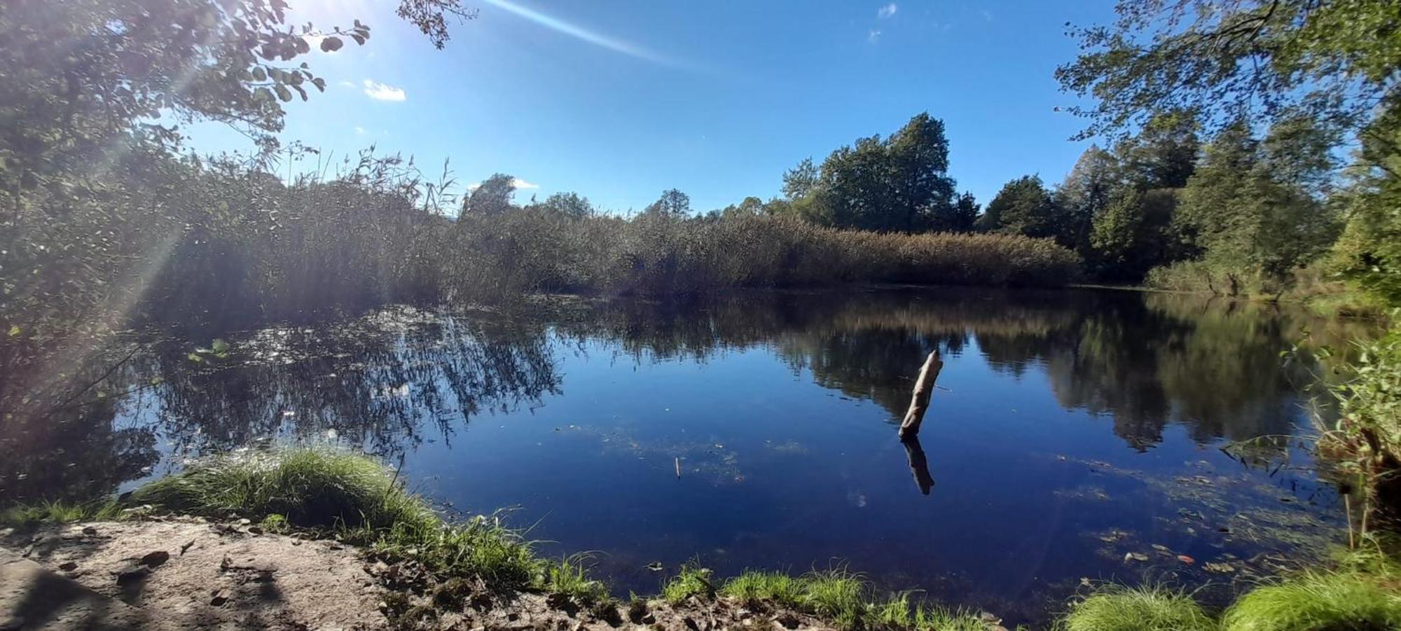 Osada Pod Lasem Andrychów Buitenkant foto