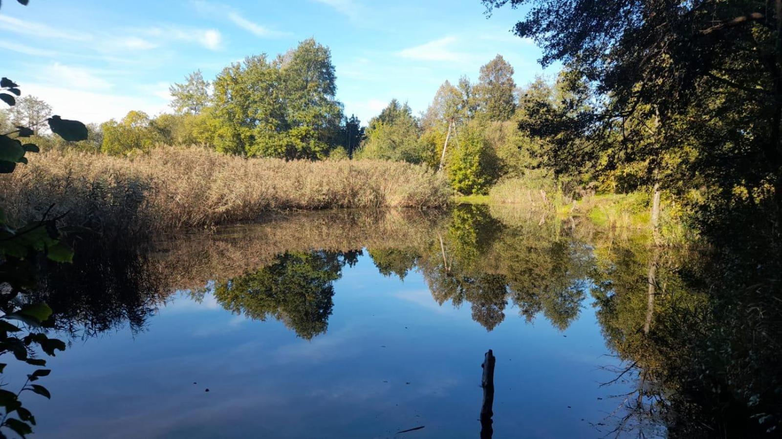 Osada Pod Lasem Andrychów Buitenkant foto