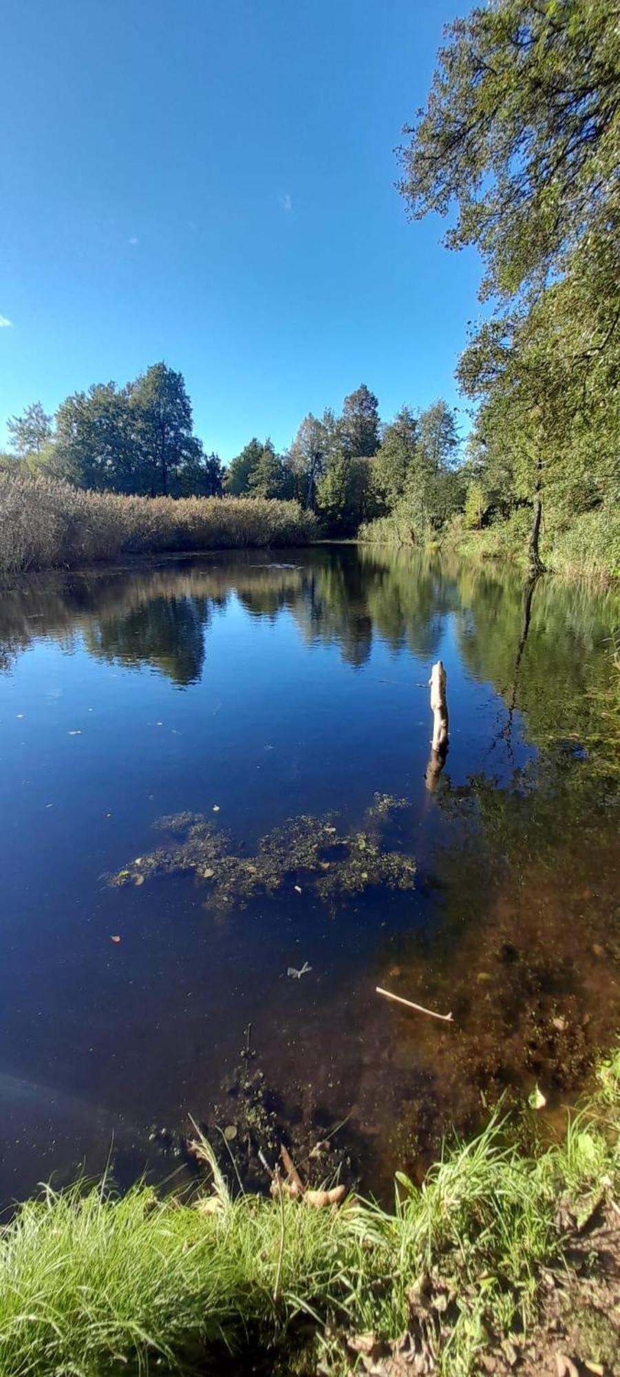 Osada Pod Lasem Andrychów Buitenkant foto