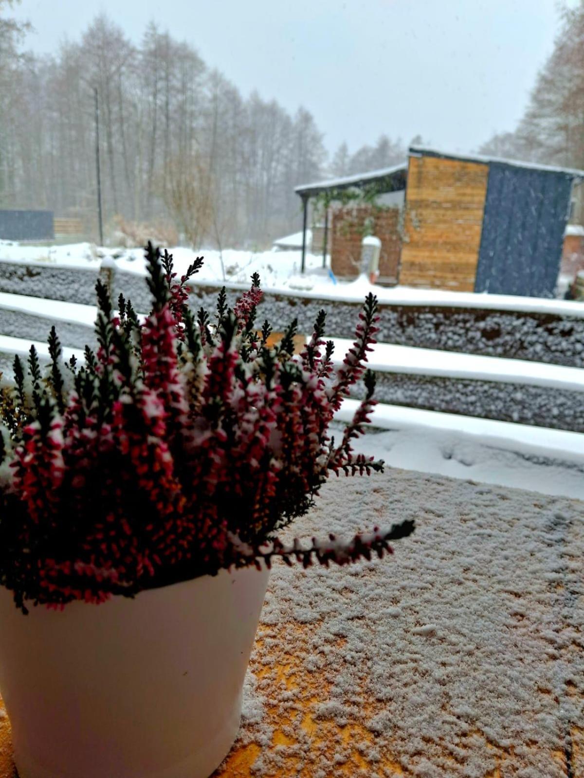 Osada Pod Lasem Andrychów Buitenkant foto