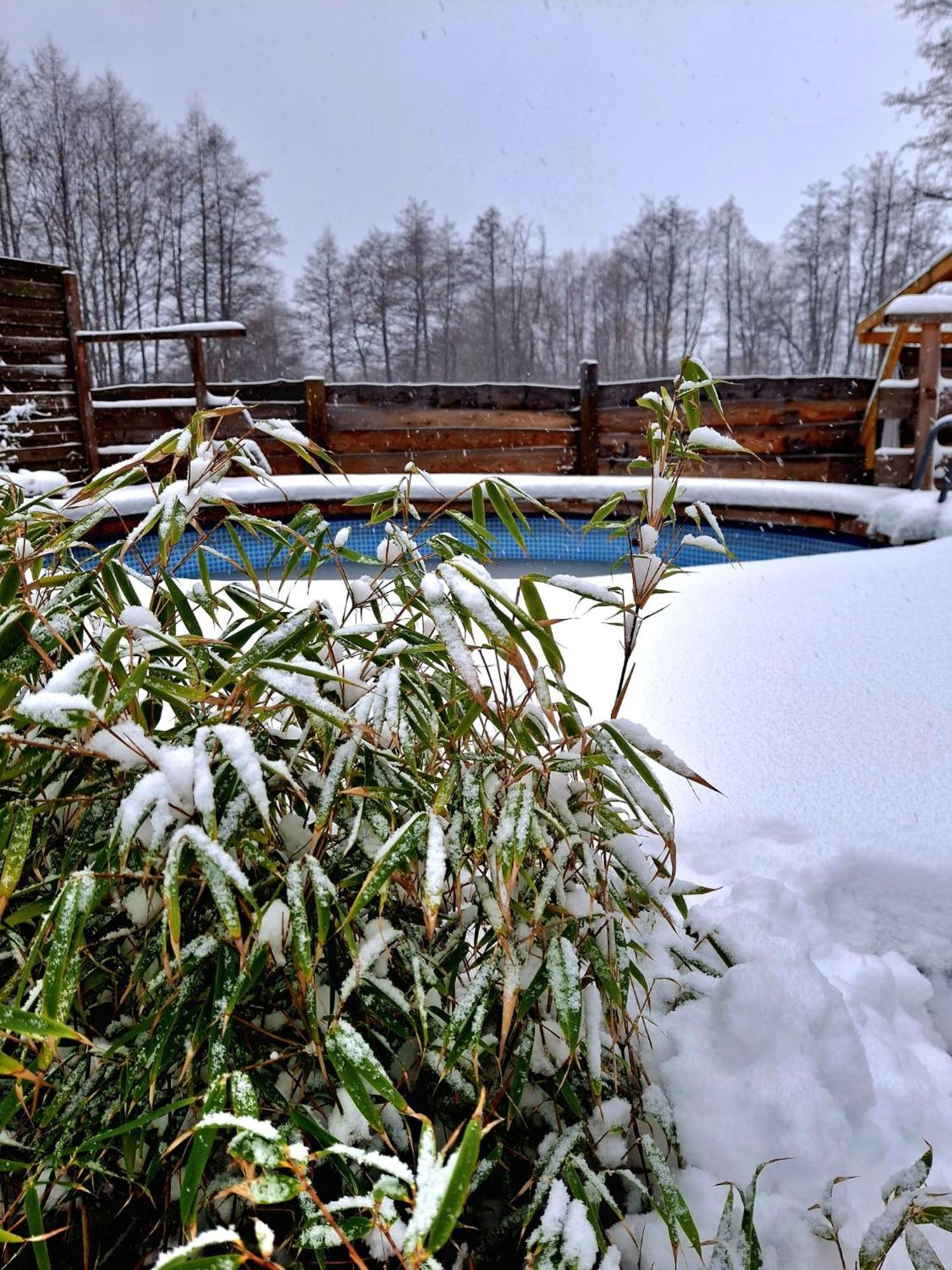 Osada Pod Lasem Andrychów Buitenkant foto